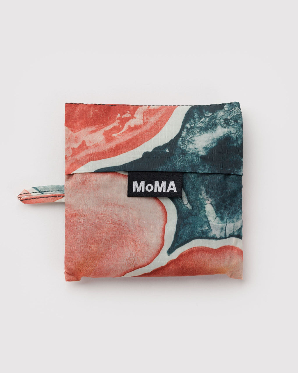 Practical Storage Standard Baggu - Poppy Ruth