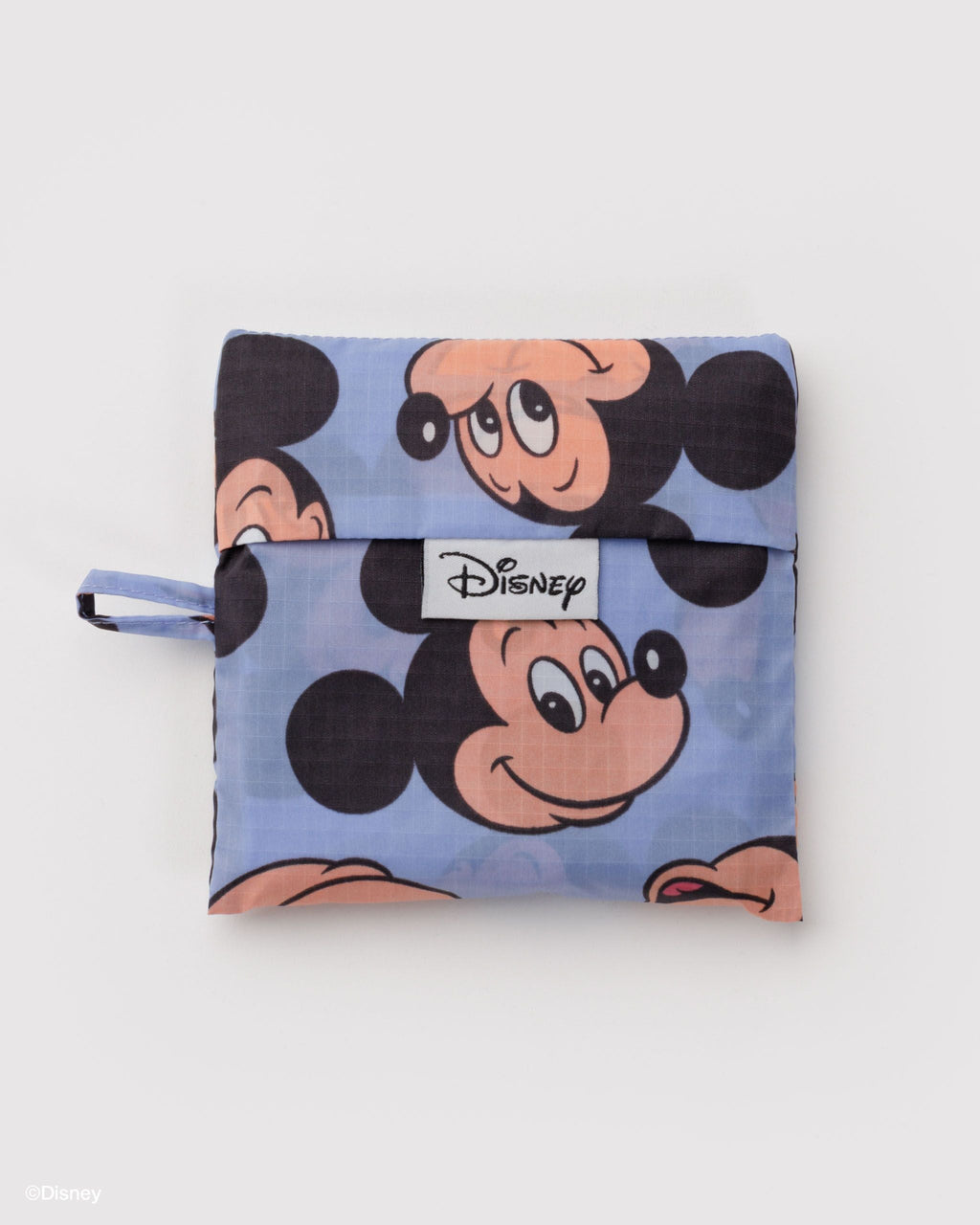 Practical Storage Standard Baggu - Mickey