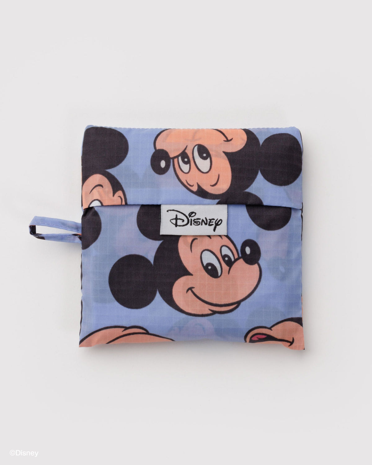 Practical Storage Standard Baggu - Mickey