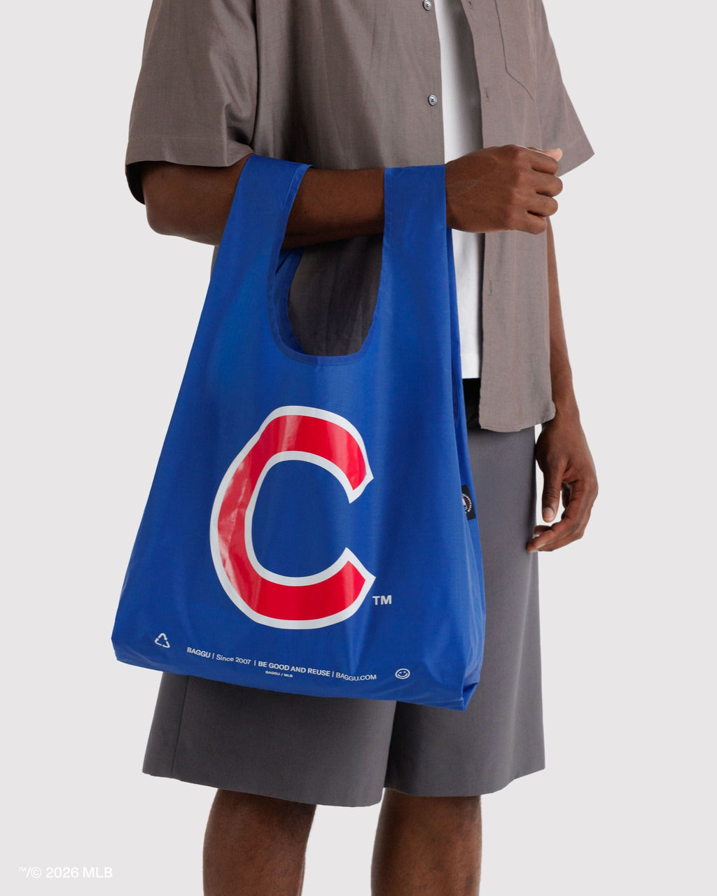Lightweight Utility Standard Baggu - Chicago
