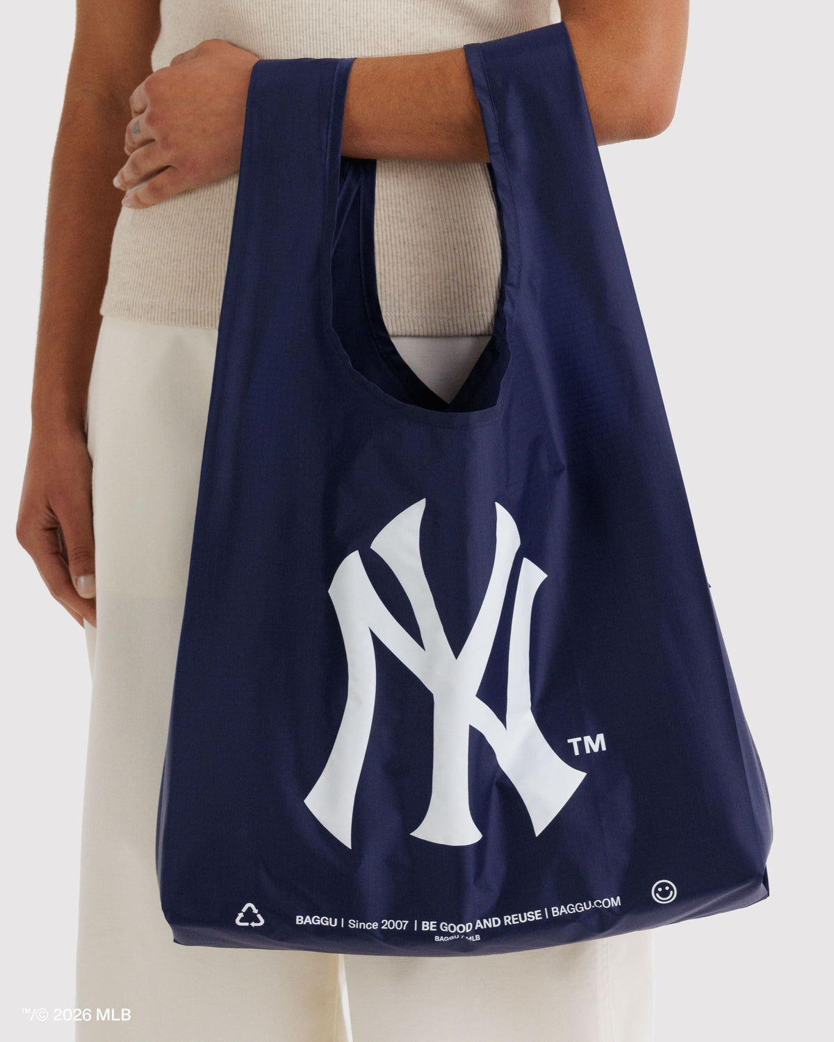 Practical Storage Standard Baggu - New York