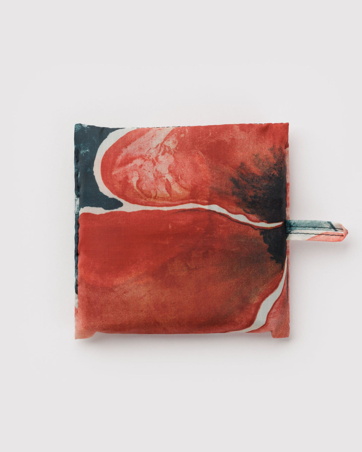 Practical Storage Standard Baggu - Poppy Ruth