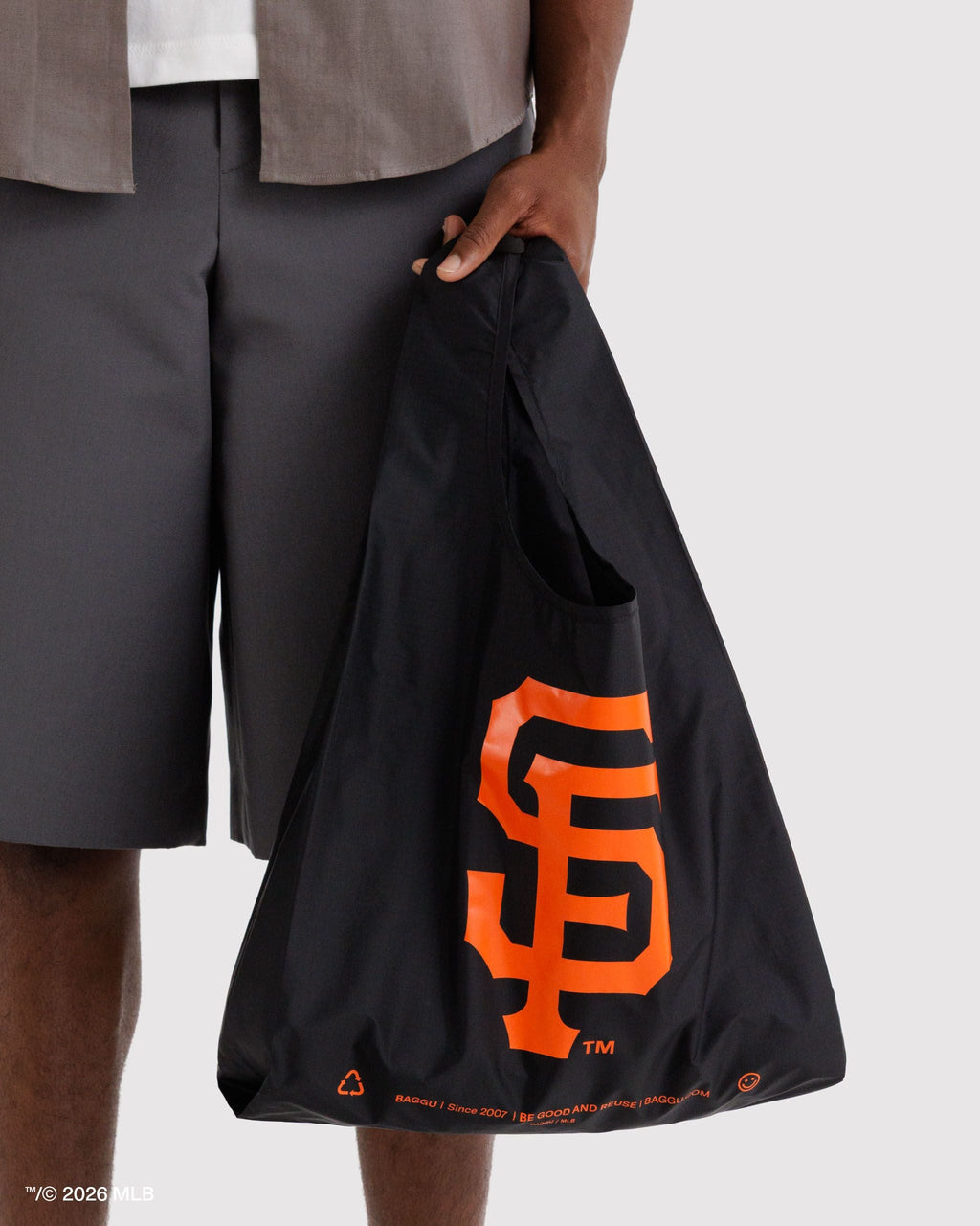 Versatile Carry Standard Baggu - San Francisco