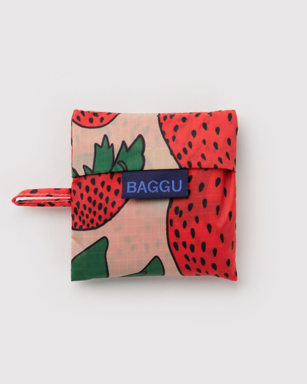Everyday Carry Baby Baggu -