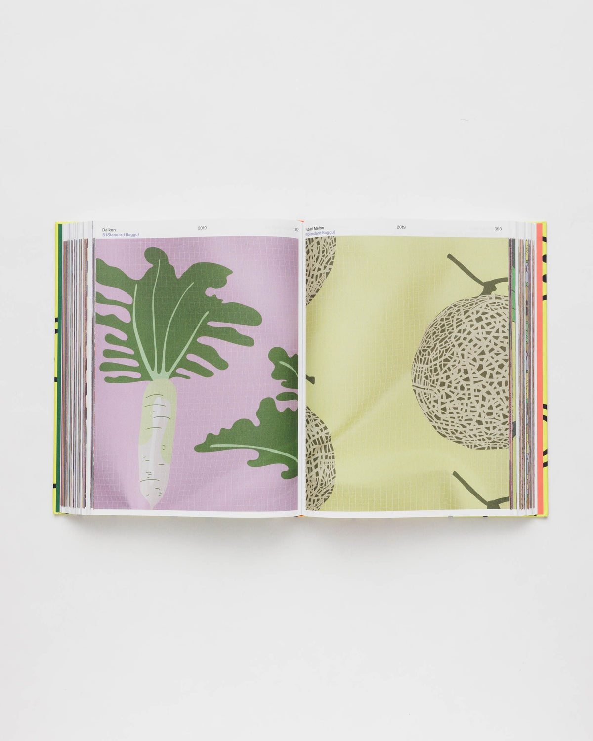 Versatile Carry Hold Everything 15 Years of BAGGU -